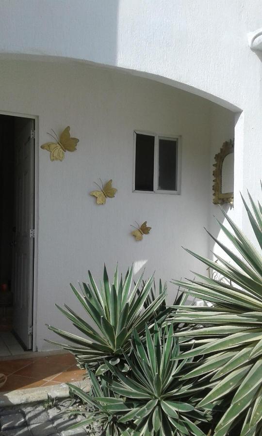 Casa Mariposas Leilighet Cancún Eksteriør bilde